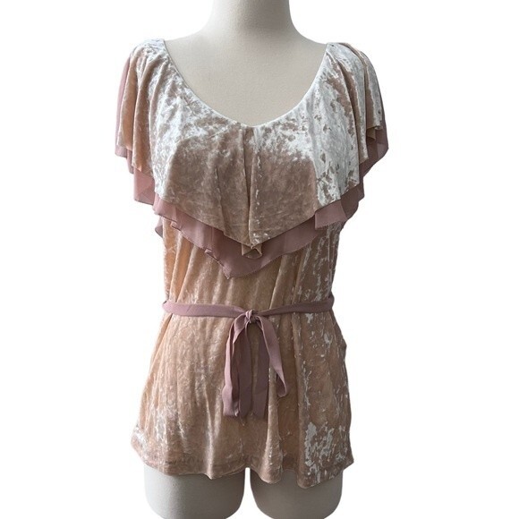 WHBM Pink Velvet Flounce Belted Top Size Medium Style 570216298 Fairycore - Picture 1 of 12